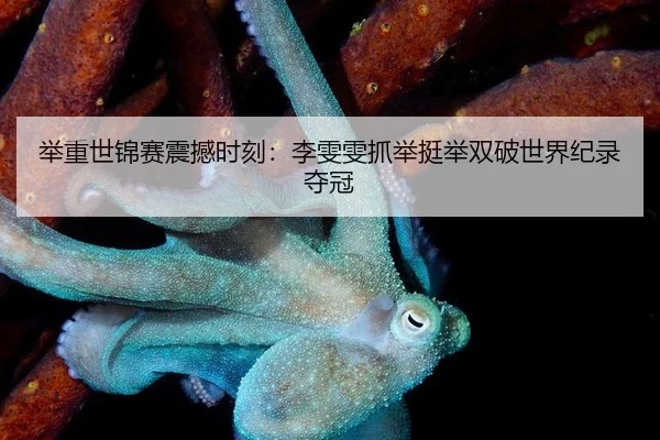 举重世锦赛震撼时刻：李雯雯抓举挺举双破世界纪录夺冠